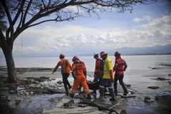 Indonésie : L’AHA au secours des victimes des séismes et du tsunami