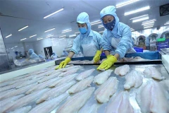 Le système d’inspection des siluriformes du Vietnam équivaut à celui des États-Unis