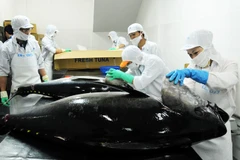 Les exportations de thon vietnamien continuent à croître