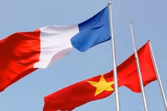 Message de félicitations à l’occasion du 45e anniversaire des relations Vietnam-France