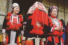 Le mariage traditionnel des Dao rouges