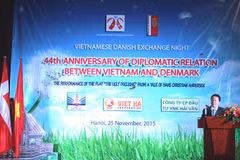 Soirée d’amitié Vietnam-Danemark 