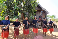 Cours de gong estivaux à Dak Lak 