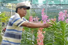 Renforcement de l'octroi des crédits à l'agriculture au Vietnam