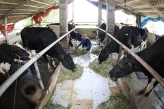 Moins d'un milliard de dollars d’importation de lait en 2015