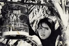Ouverture d'une Semaine du film vietnamien au Paraguay 