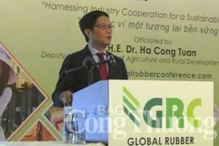 Pour un développement durable de la filière du caoutchouc du Vietnam 