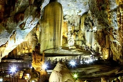 Aides allemandes pour la préservation du parc national Phong Nha-Ke Bang