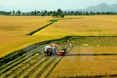 Le groupe Satake souhaite fournir des machines agricoles de haute technologie à Can Tho