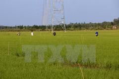 Japon et Vietnam s’engagent à promouvoir leur coopération agricole