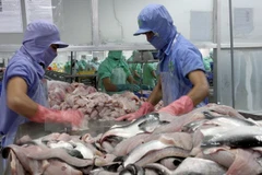 Can Tho cible 11 milliards d’USD d'exportations et services entre 2016 et 2020