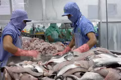 Can Tho cible 11 milliards d’USD d'exportations et services entre 2016 et 2020