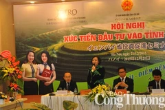 La province de Yên Bai entend attirer les investisseurs japonais