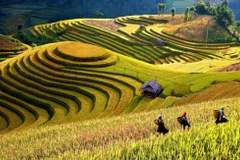 Semaine culturelle et touristique des rizières en terrasses de Mù Cang Chai 