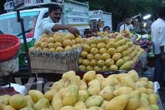 Les Etats-Unis vont autoriser l'importation de mangues du Vietnam 
