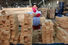 Le "bois légal" du Vietnam peut rentrer sur le marché européen