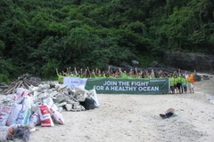 Une centaine de volontaires nettoient des îles et îlots de la baie de Ha Long