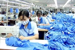 Hong Kong (Chine), marché importateur à fort potentiel pour les entreprises vietnamiennes