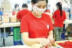 La plupart des entreprises privées optimistes sur les perspectives d’investissement au Vietnam