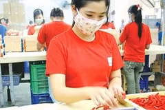 La plupart des entreprises privées optimistes sur les perspectives d’investissement au Vietnam