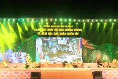 Ouverture du Festival du tournesol de Nghê An