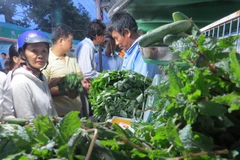 La foire de l'agriculture verte attire plus de 12.000 visiteurs