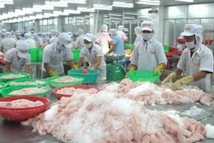 Les entreprises aquatiques péruviennes recherchent des opportunités d’affaires au Vietnam