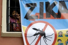 Aucun cas de virus Zika détecté à Ho Chi Minh-Ville