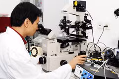 Les scientifiques vietnamiens reçoivent quatre subventions du programme PEER
