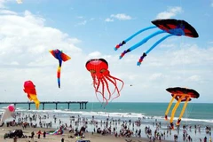 Ouverture du Festival international des cerfs-volants 2016