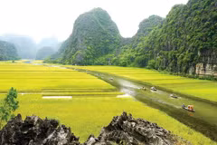 Le tournage du film américain Kong : Skull Island est à Ninh Binh