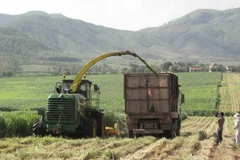 Le 12e Congrès du Parti : le développement agricole associé à l'édification d'une Nouvelle ruralité