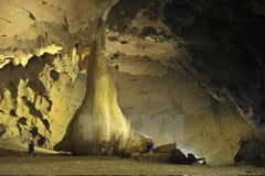 Découverte de 57 nouvelles grottes à Quang Binh