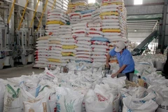 Les Philippines vont importer 250.000 tonnes de riz du Vietnam ou de Thaïlande