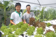 L’agriculture intelligente, une tendance dans le delta du Mékong