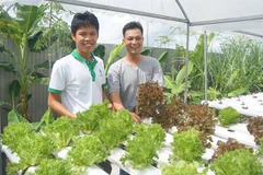 L’agriculture intelligente, une tendance dans le delta du Mékong