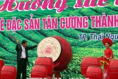 La fête ​"Parfums et couleurs du thé de Tân Cuong​" 