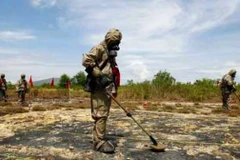 Elargissement de l’échelle de décontamination de la dioxine au district d’A Luoi 