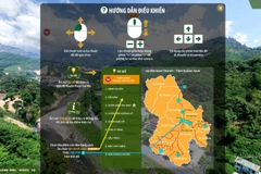 Le portail de la réalité virtuelle de la zone de production du ginseng de Ngoc Linh voit le jour