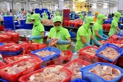 Près de 26 milliards de dollars d’exportations de produits agricoles, sylvicoles et aquatiques