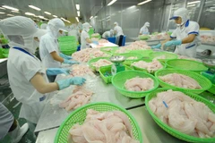An Giang : plus de 276 millions de dollars des exportations de riz et de pangasius 