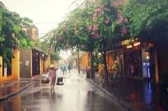 À Hôi An, la pluie du matin réjouit le pèlerin