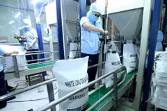 L’Égypte importera 1 million de tonnes de riz vietnamien