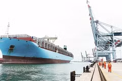Port maritime, une mine d'or à réveiller