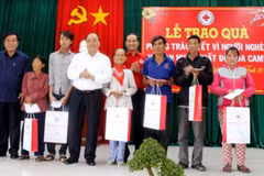 Le Premier ministre salue les acquis de la Croix-Rouge du Vietnam