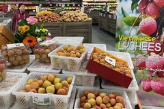 Le commerce Vietnam-Australie dépasse les 8 milliards de dollars au premier semestre