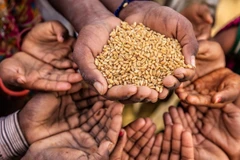 ONU: Le Vietnam appelle à la sécurité alimentaire pour promouvoir la paix et le développement