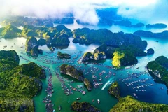 Promouvoir la coopération internationale pour développer l'économie bleue au Vietnam