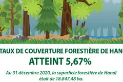 Le taux de couverture forestière de Hanoï atteint 5,67% 