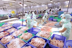 Produits aquatiques: les exportations au 2e trimestre pourraient atteindre un niveau record
